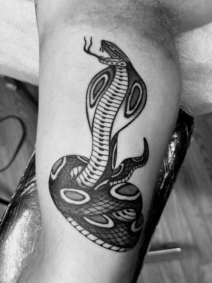 Adam Gibson portfolio piece