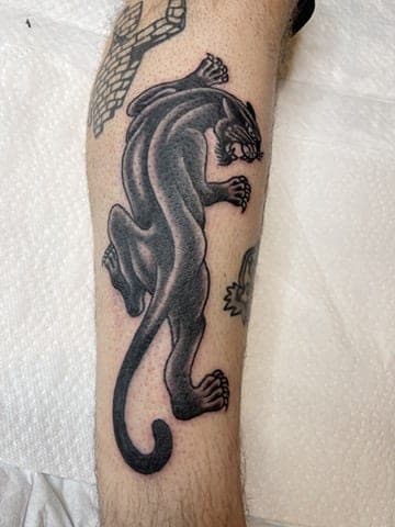 Adam Teken portfolio piece