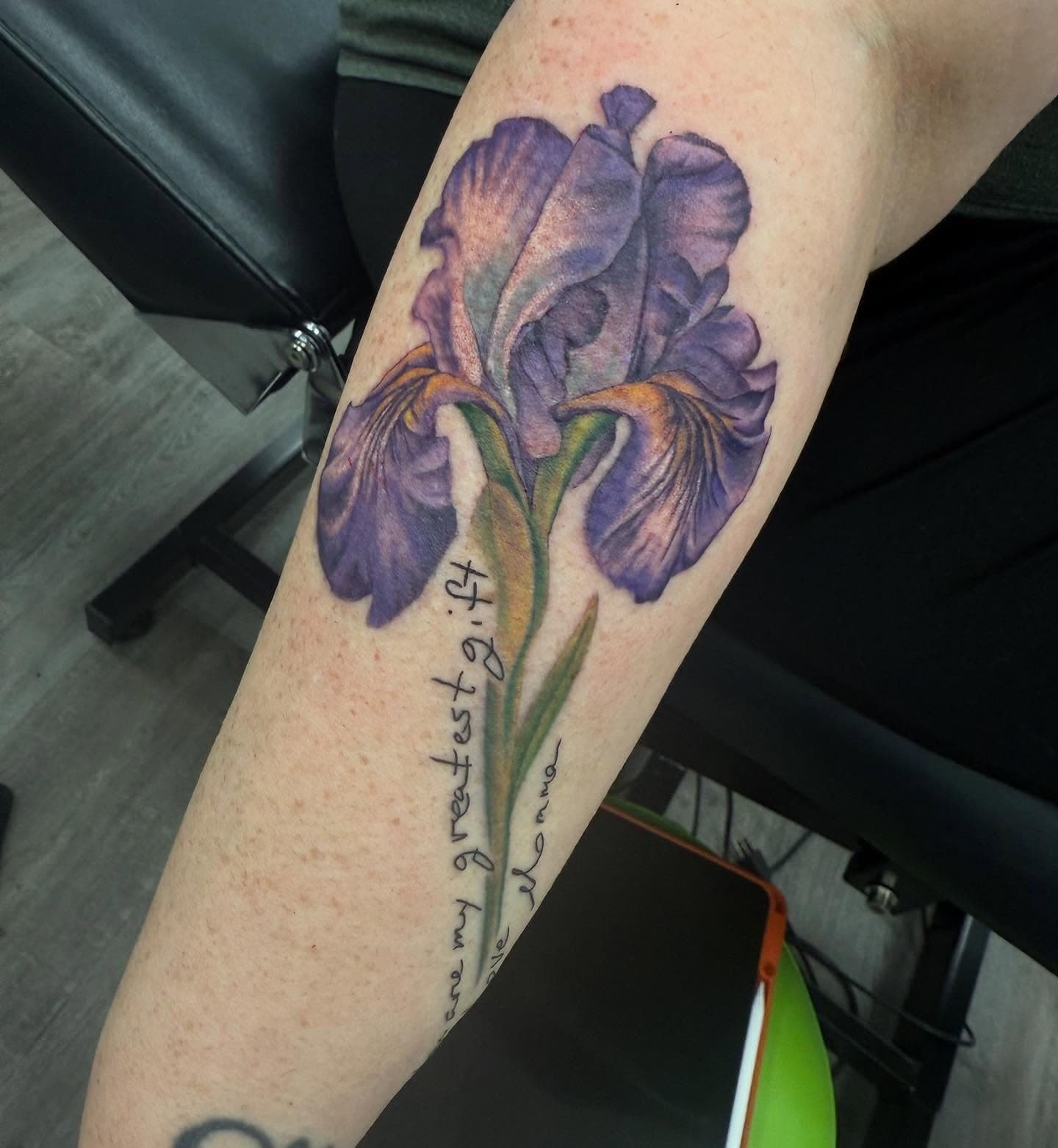 Ashley portfolio piece