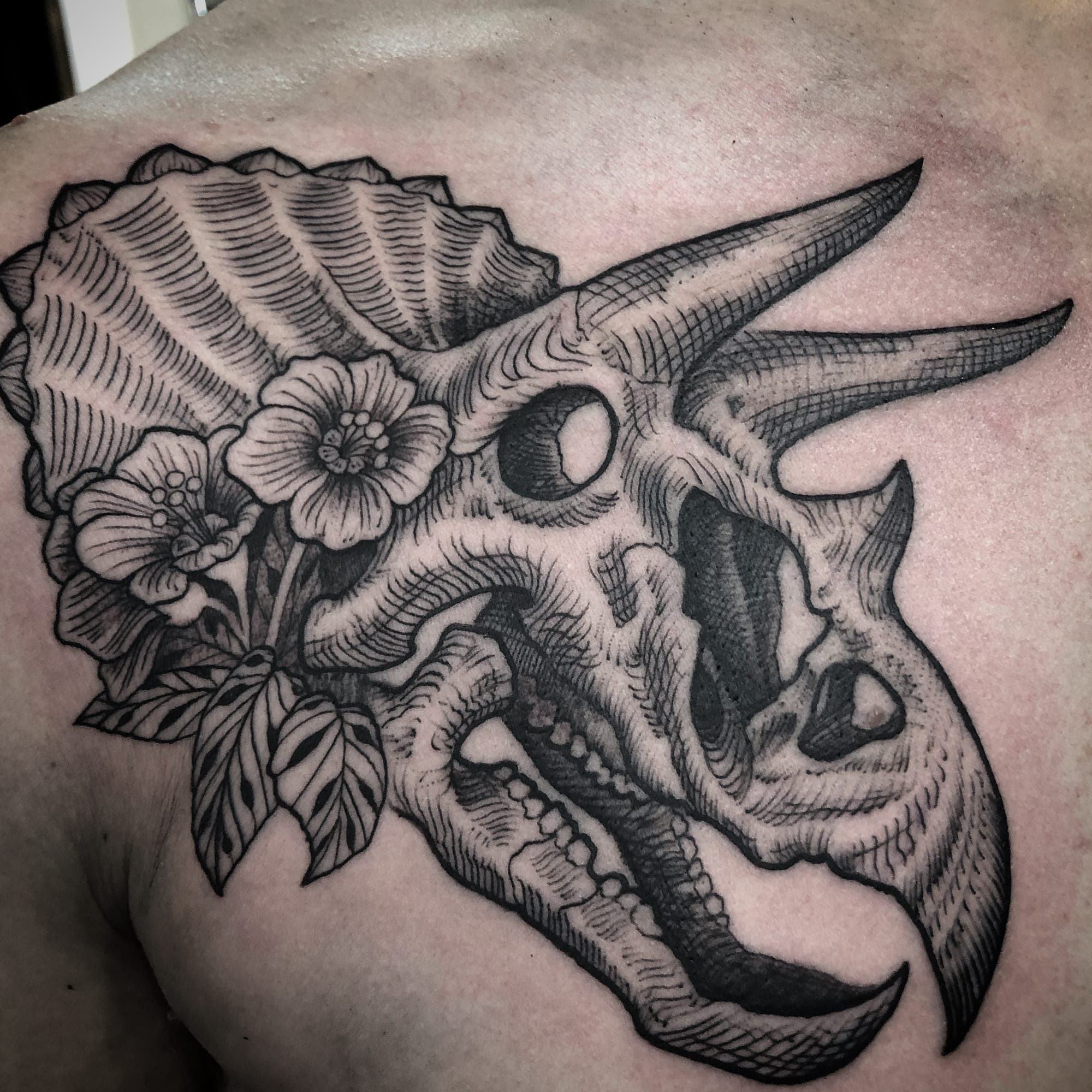 Ben Sanchez portfolio piece
