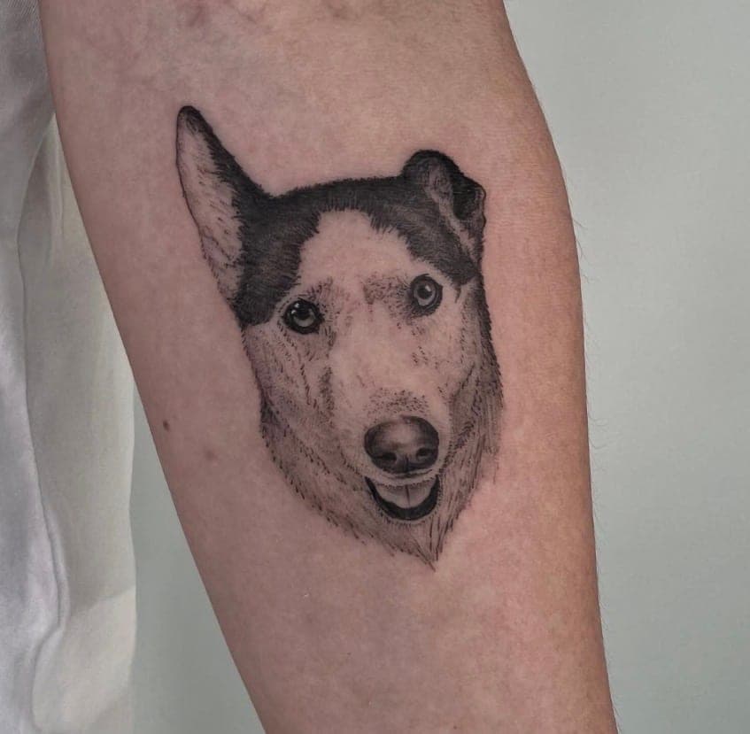 Beto portfolio piece