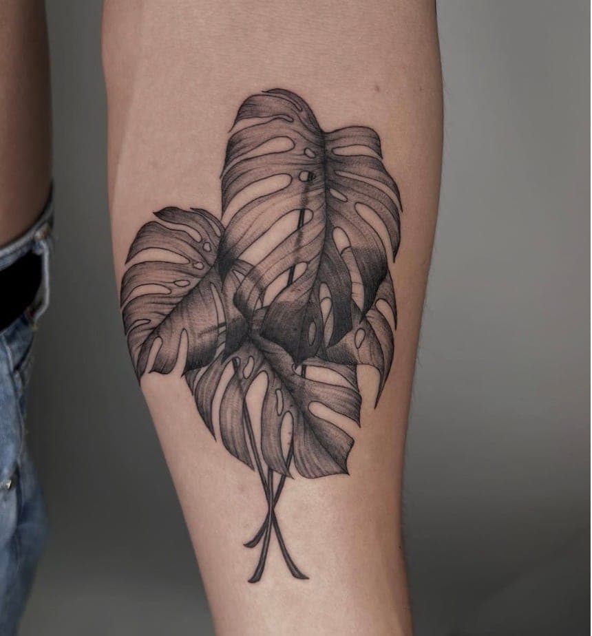 Beto portfolio piece