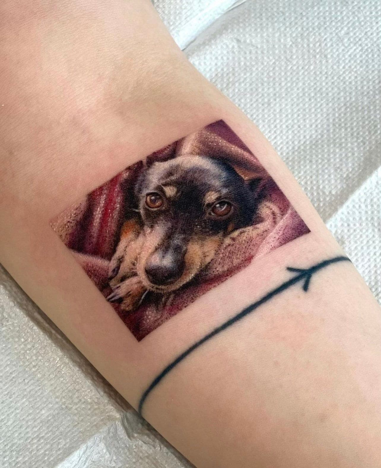 Dani portfolio piece