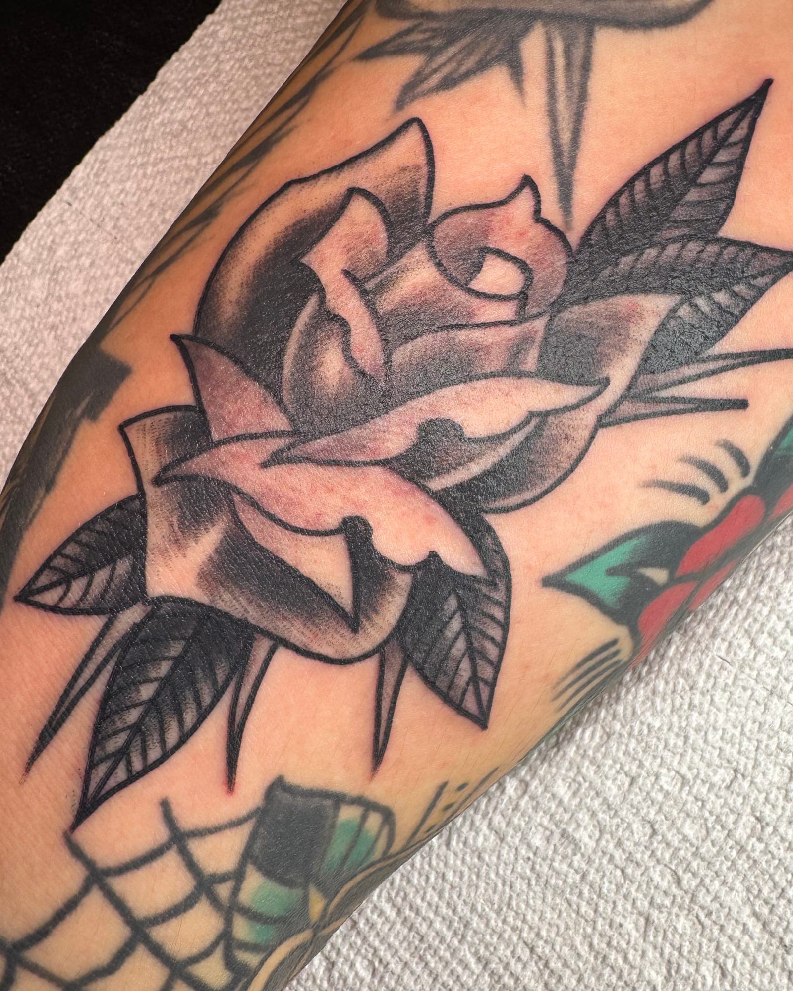 Danny Zelsman portfolio piece