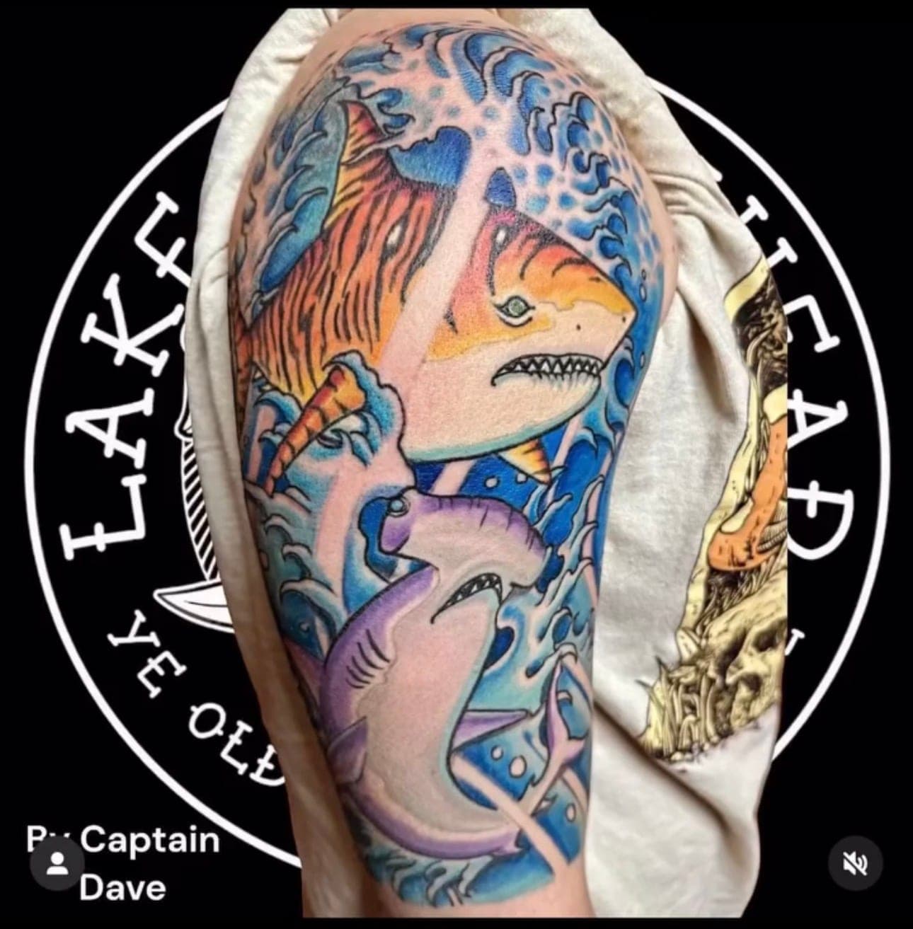Cap'n Dave Anderson portfolio piece