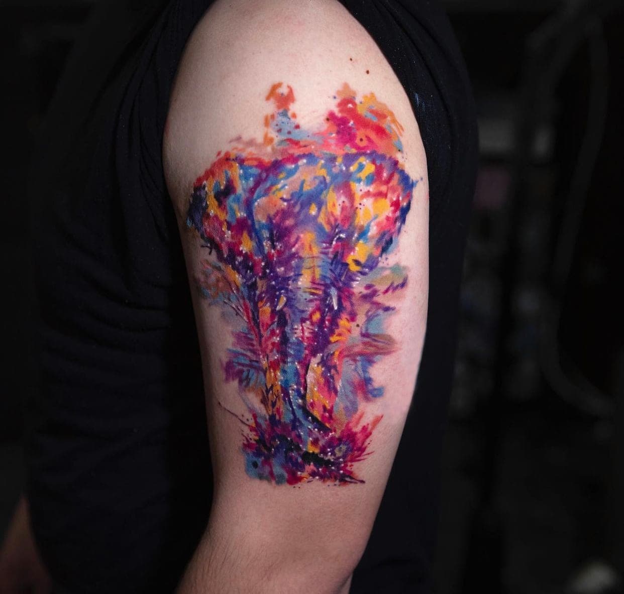 Dmitry portfolio piece