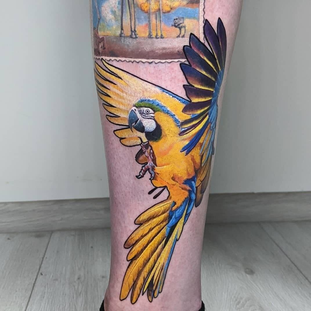 Eugene Dykyi portfolio piece