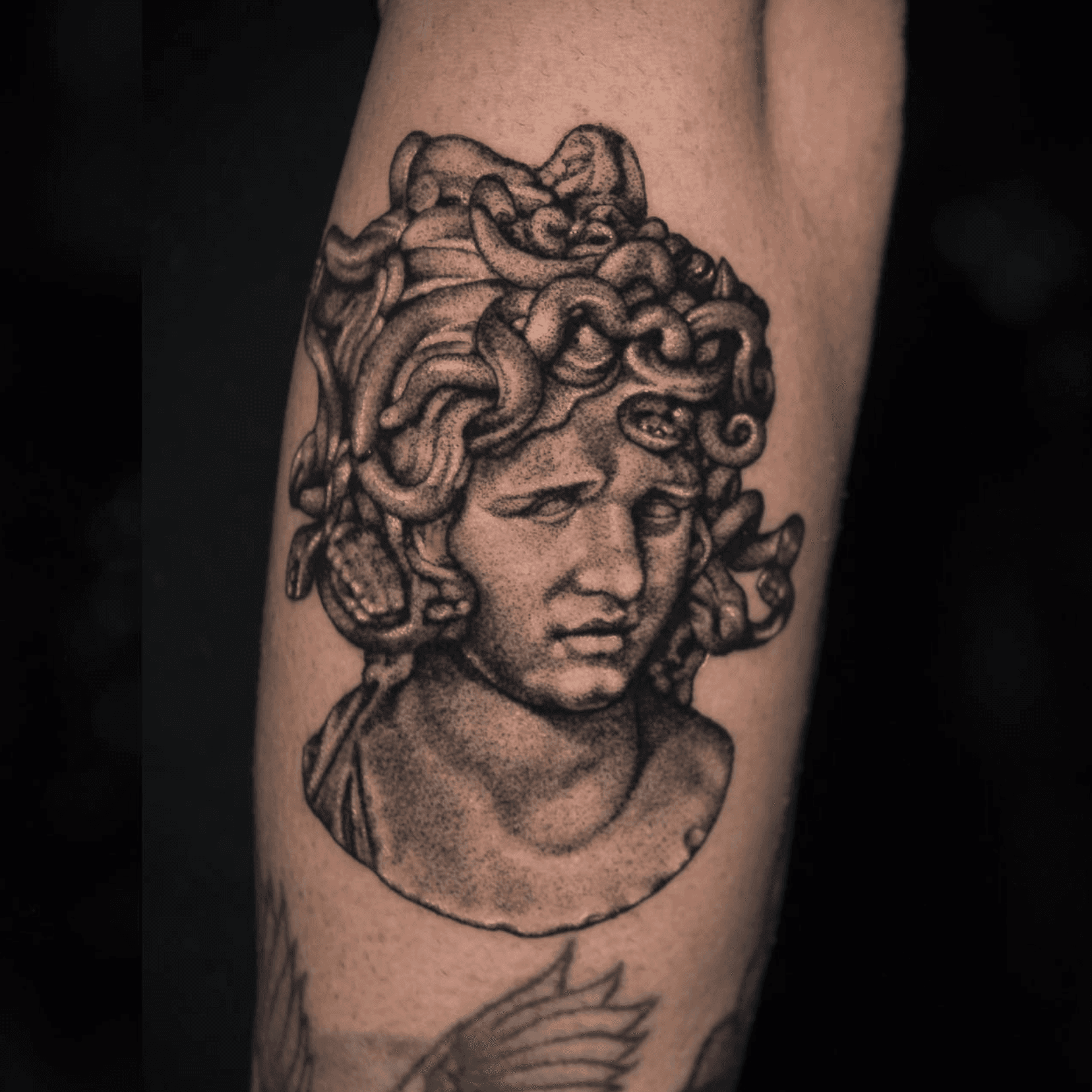 Franco Vescovi portfolio piece