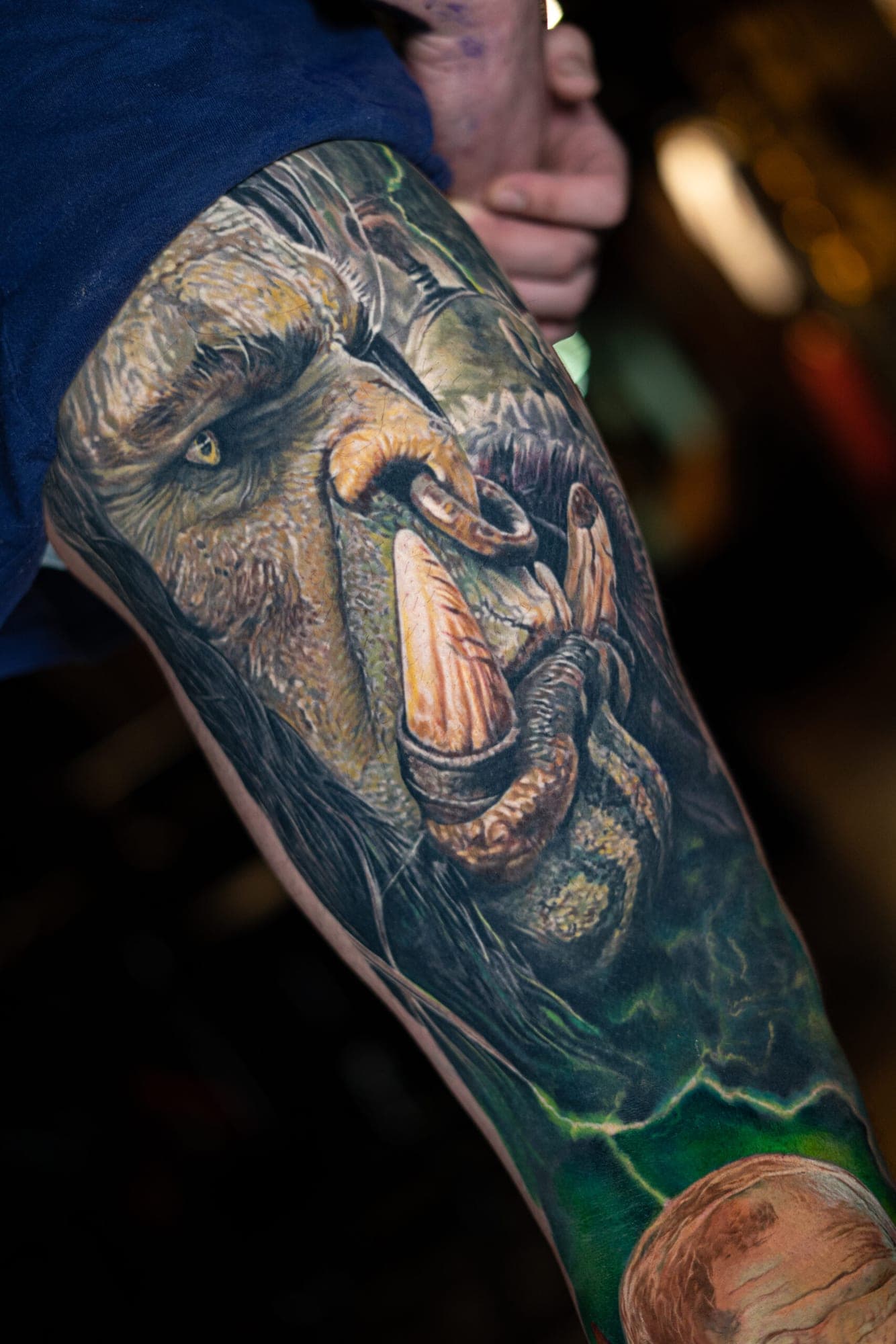 Hans Pico portfolio piece
