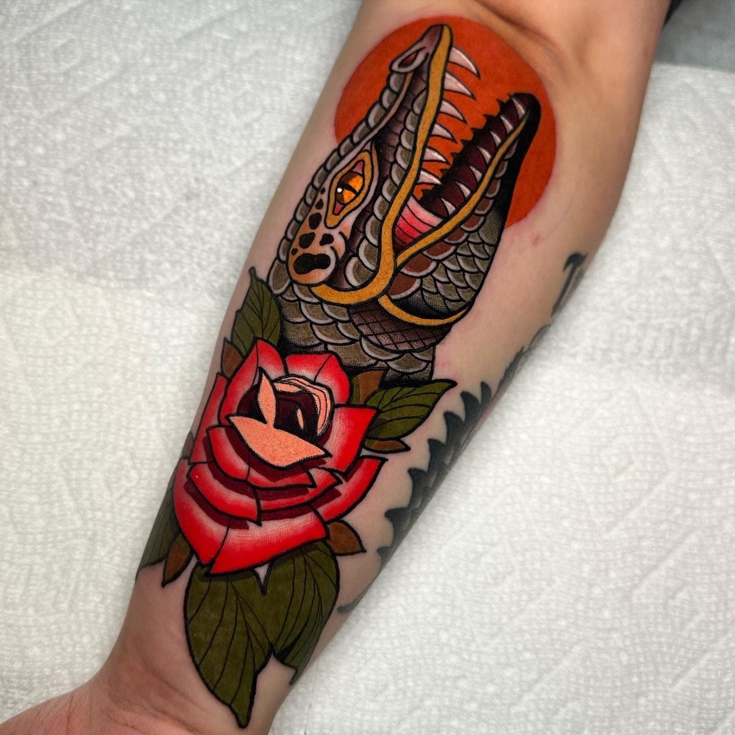 James portfolio piece