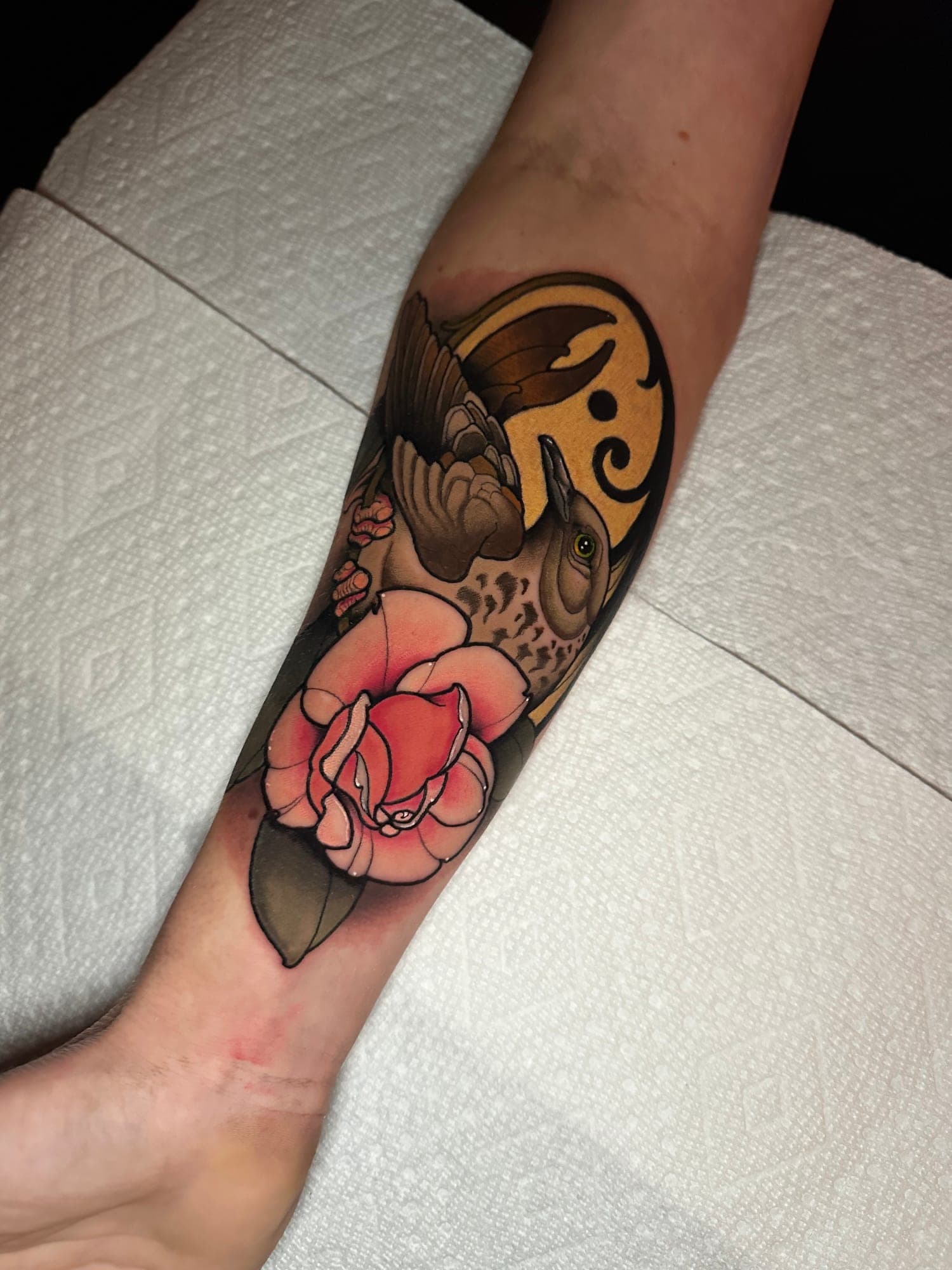 James portfolio piece