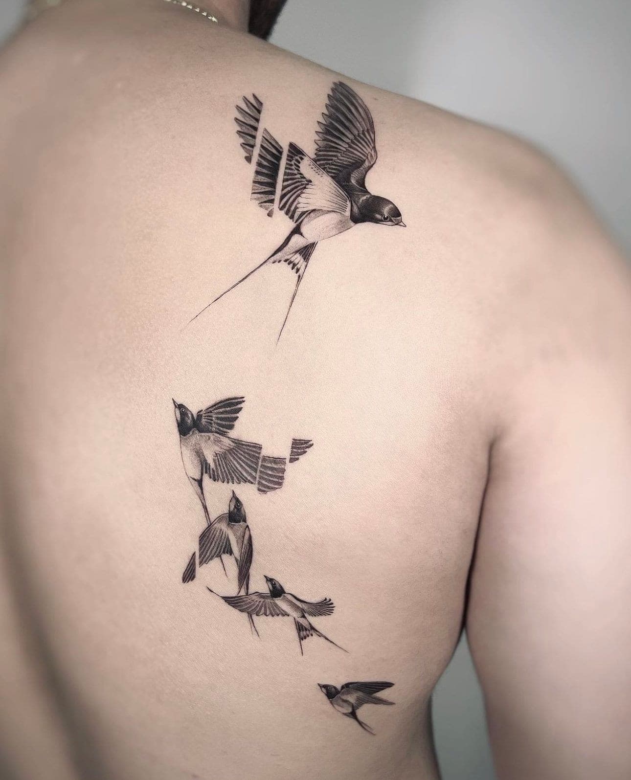 Jay Shin portfolio piece