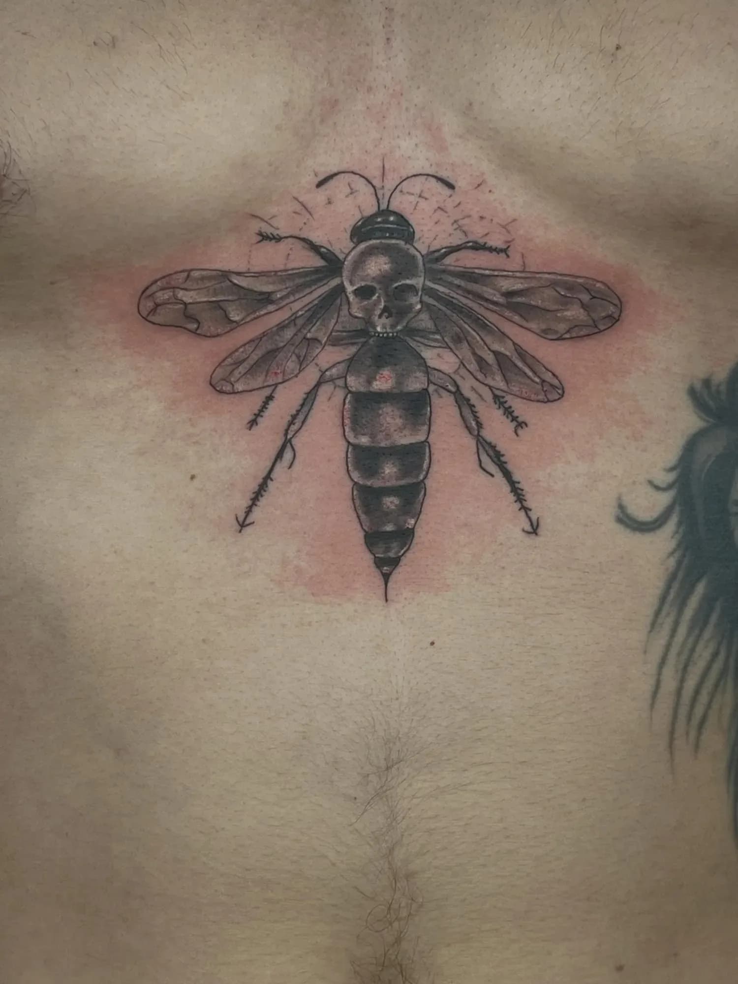 Josue portfolio piece