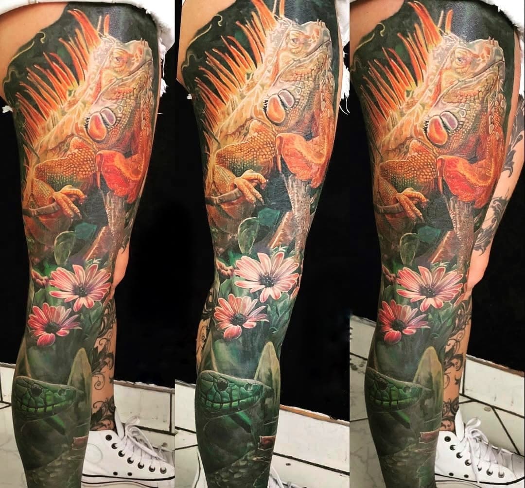 Leo portfolio piece