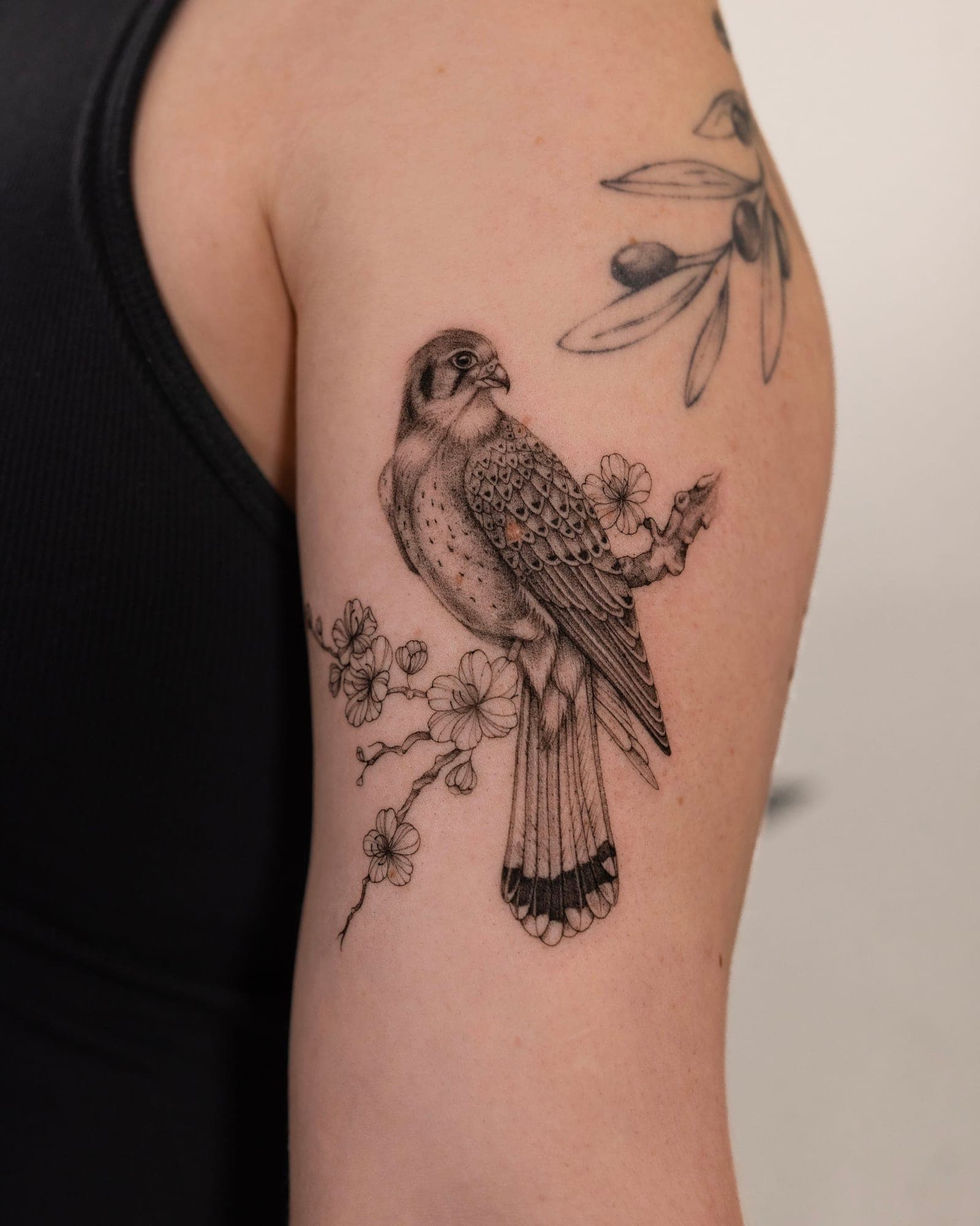 Madison portfolio piece