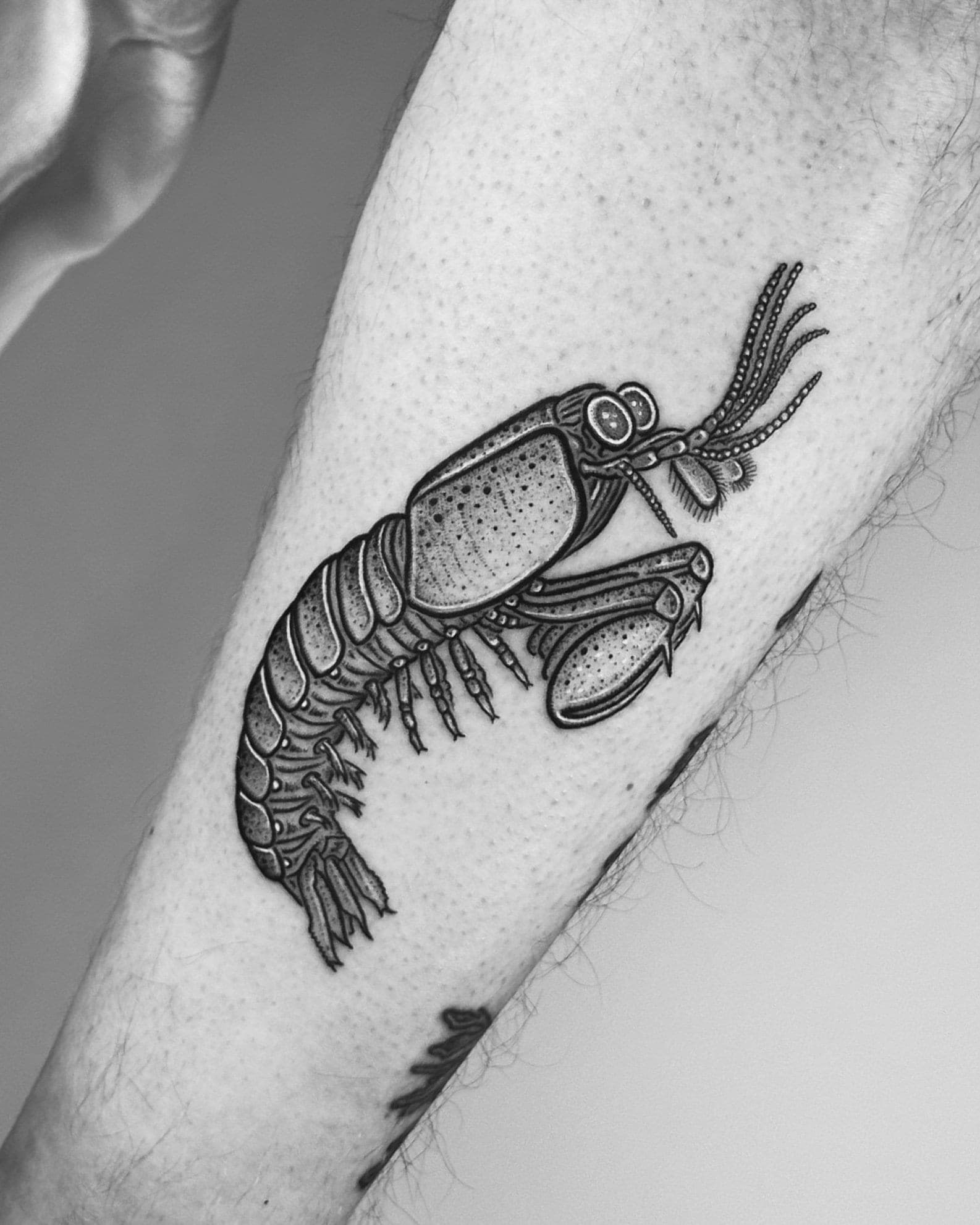 Mike portfolio piece
