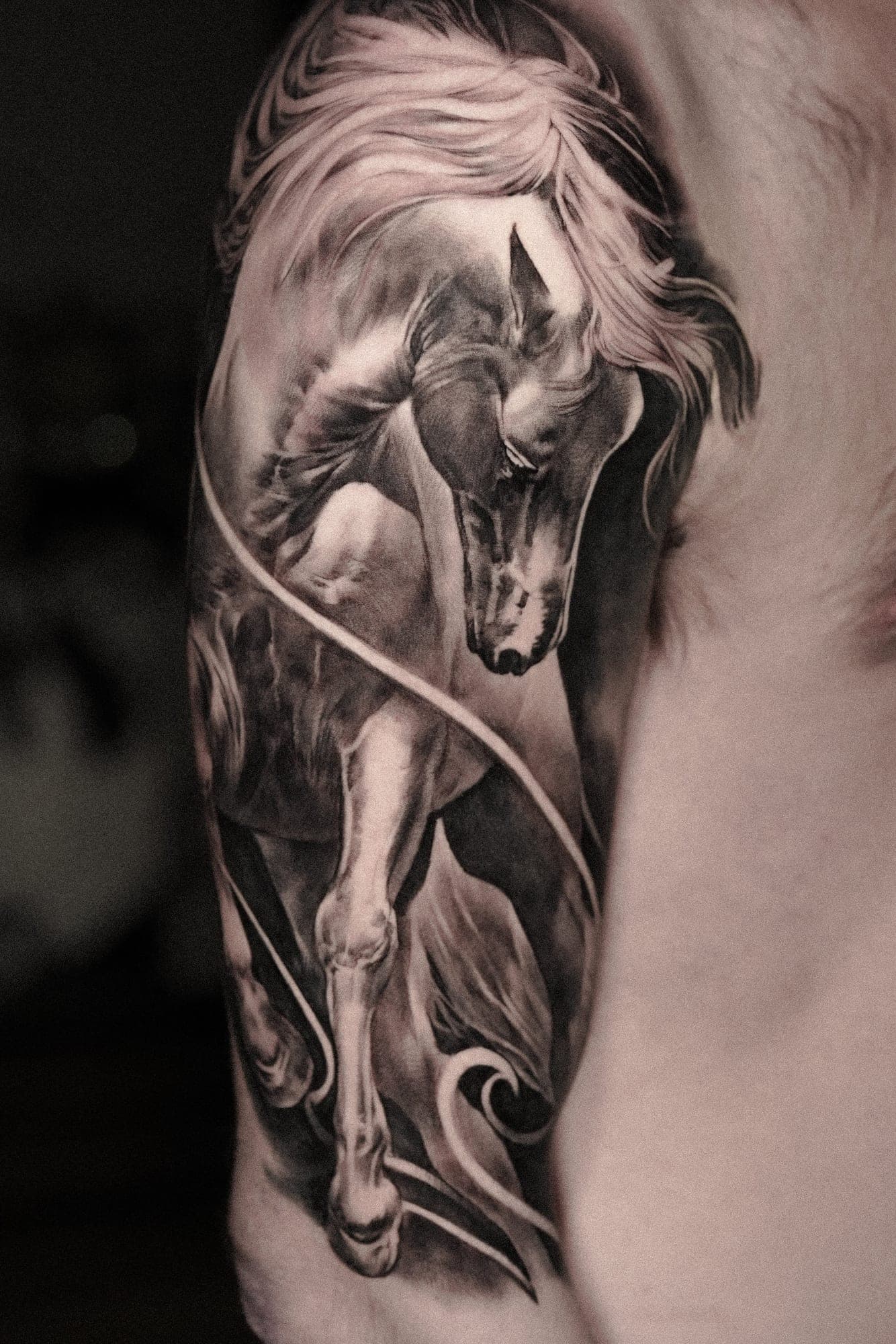 Noa portfolio piece