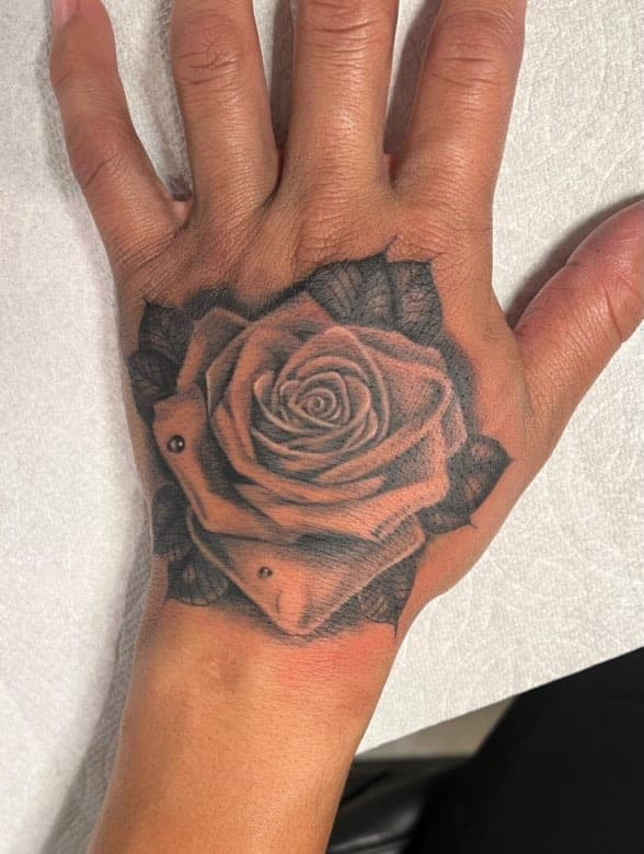 Olee portfolio piece