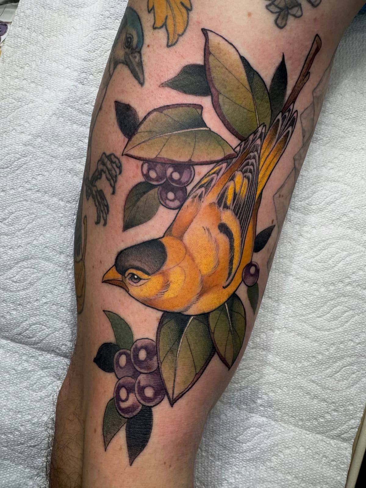 Olivia Hogan portfolio piece