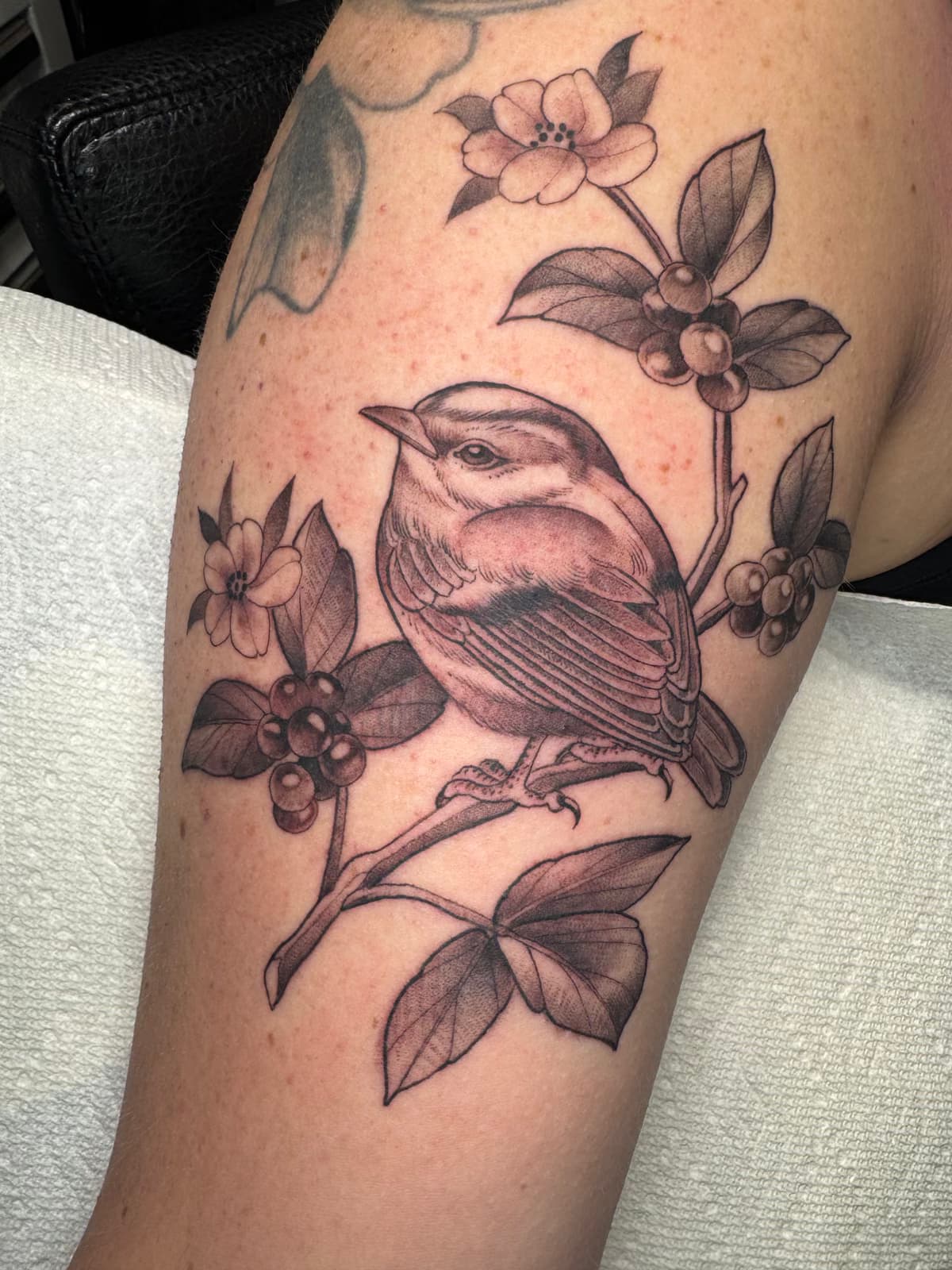 Olivia Hogan portfolio piece