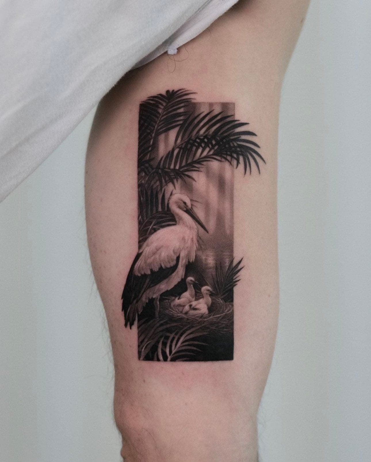 Pawel portfolio piece