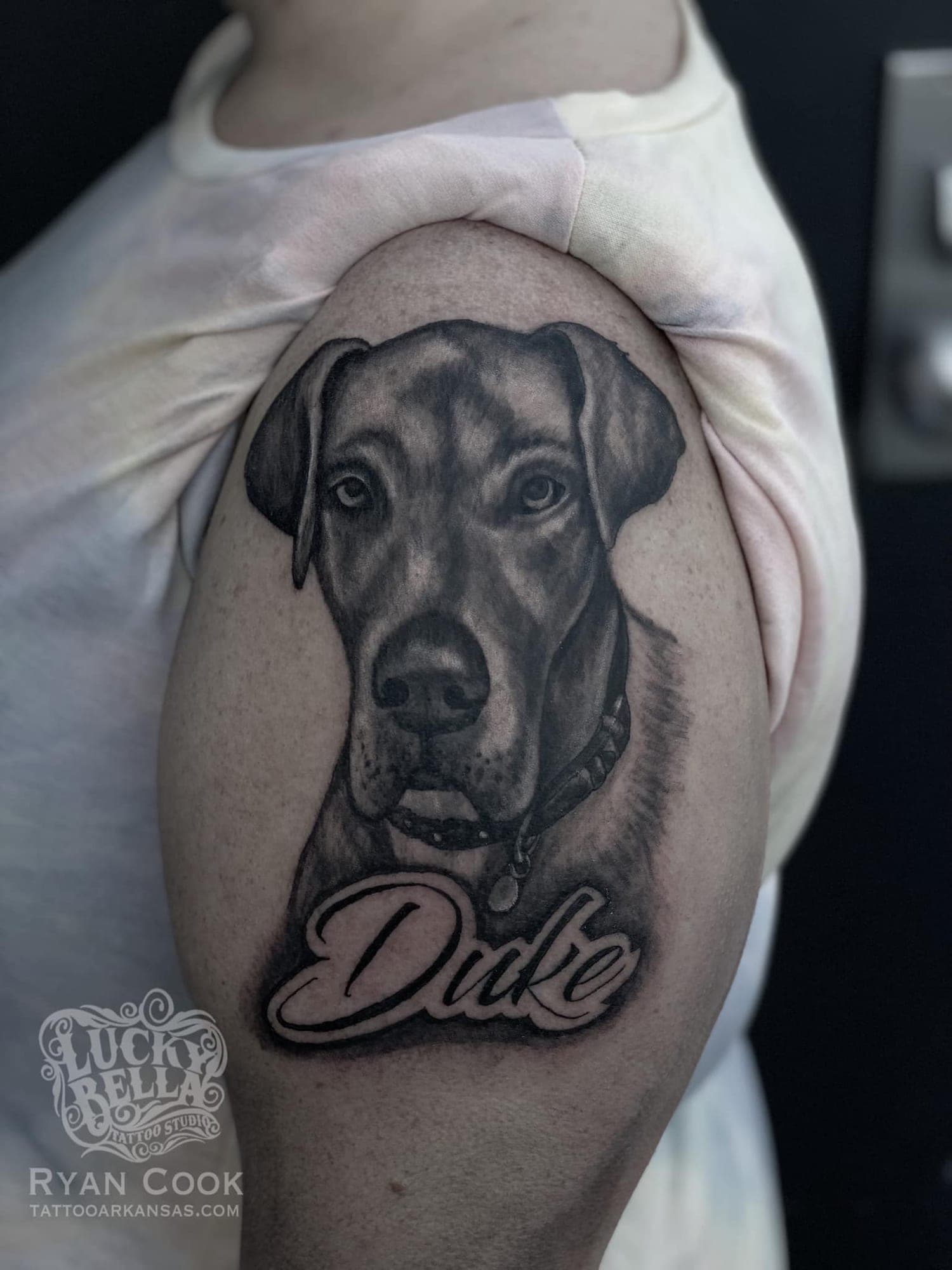 Ryan Cook portfolio piece