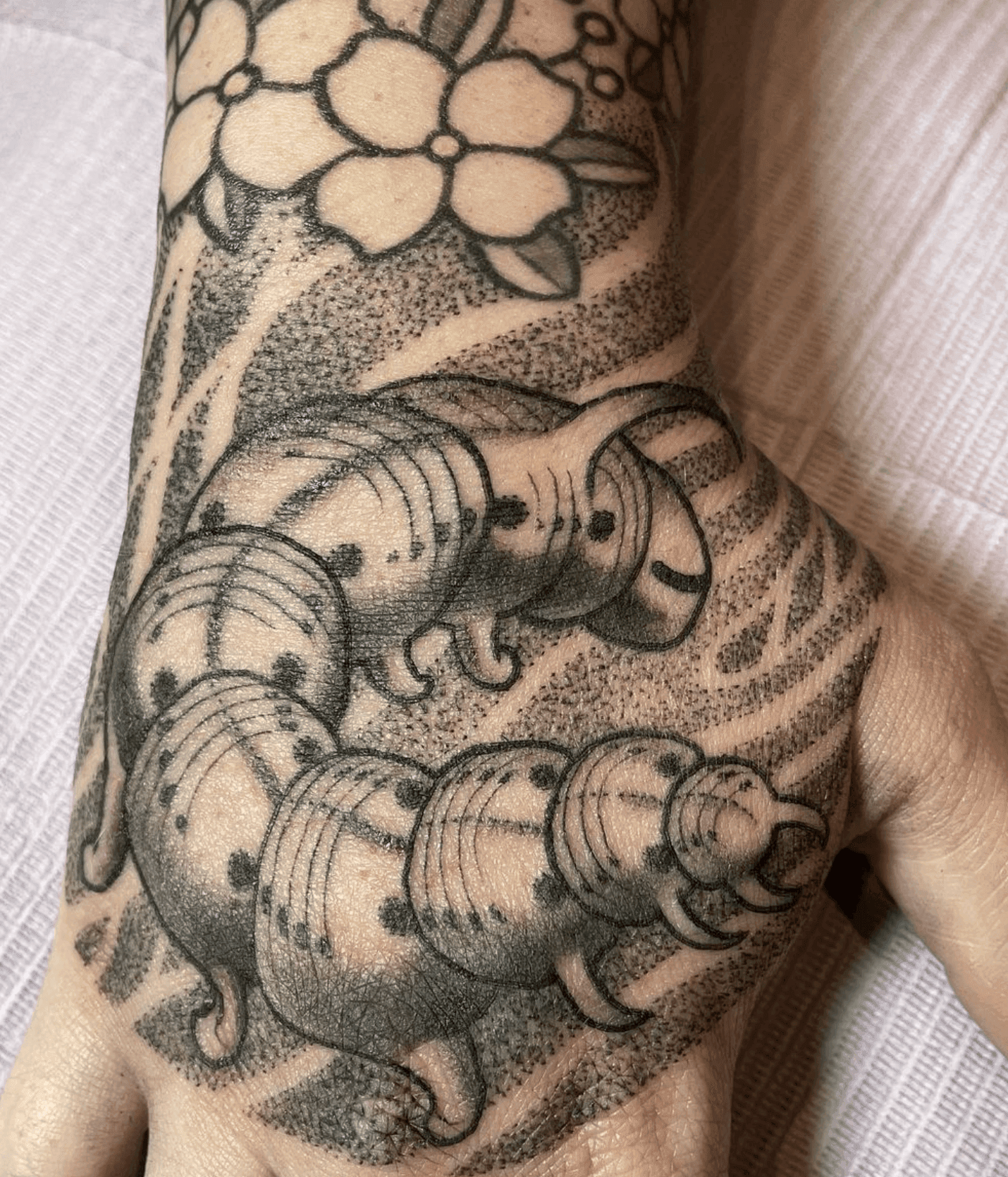Sam Parker portfolio piece