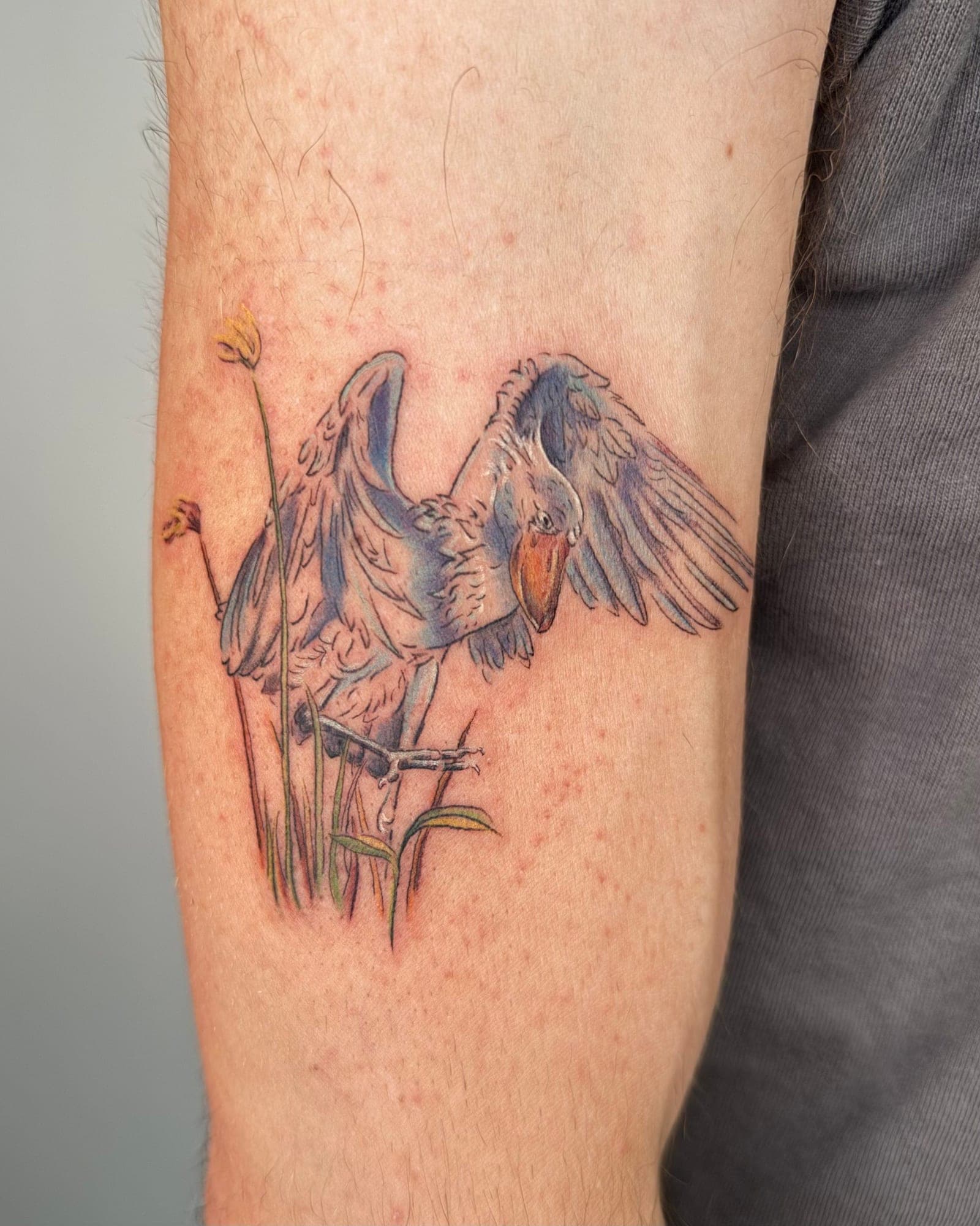 Sheli portfolio piece