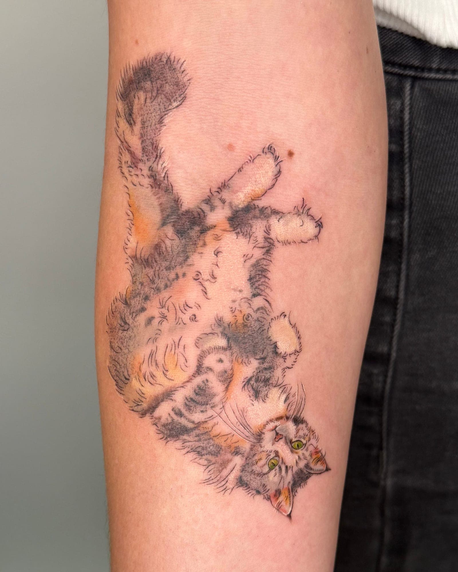 Sheli portfolio piece