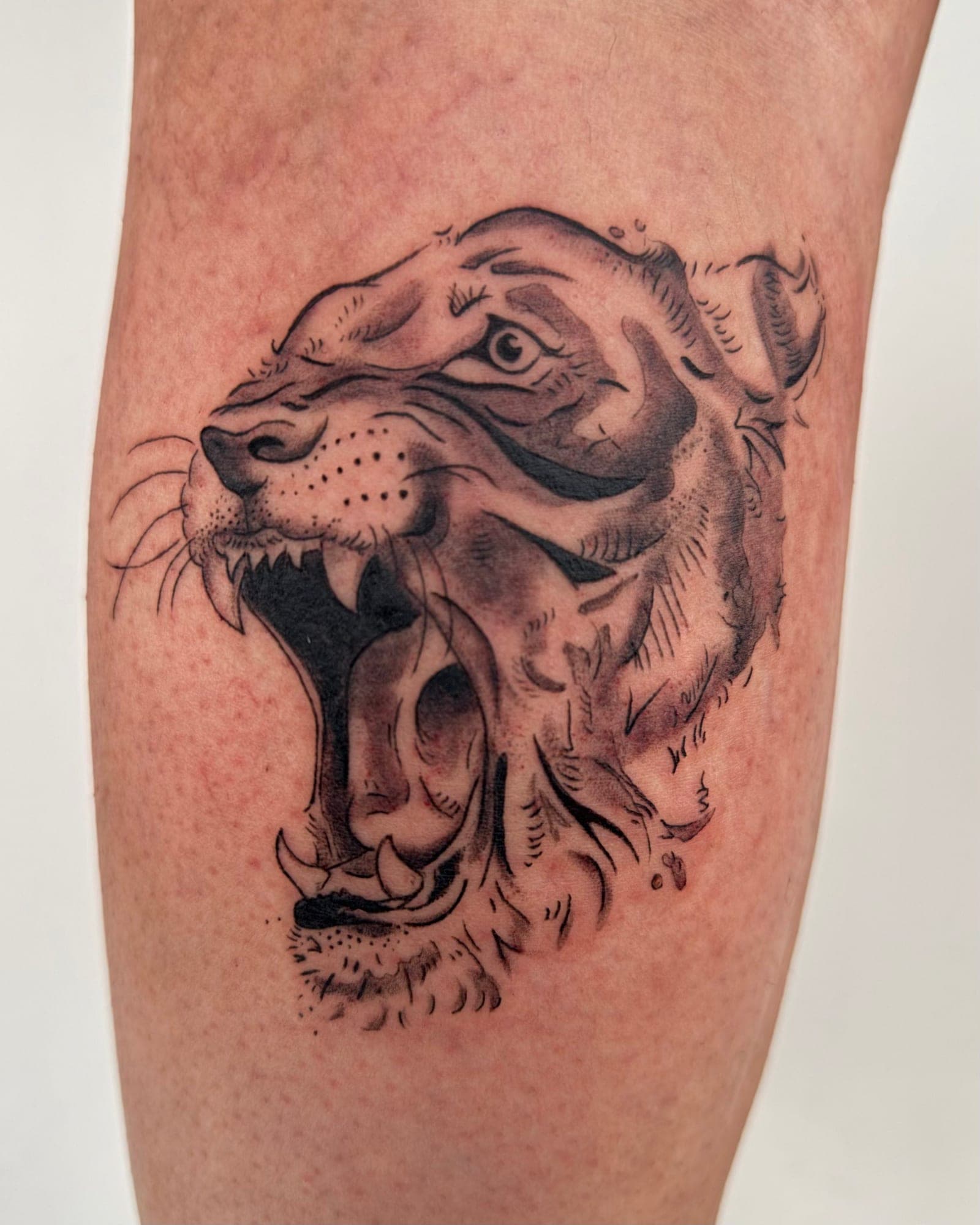 Sheli portfolio piece