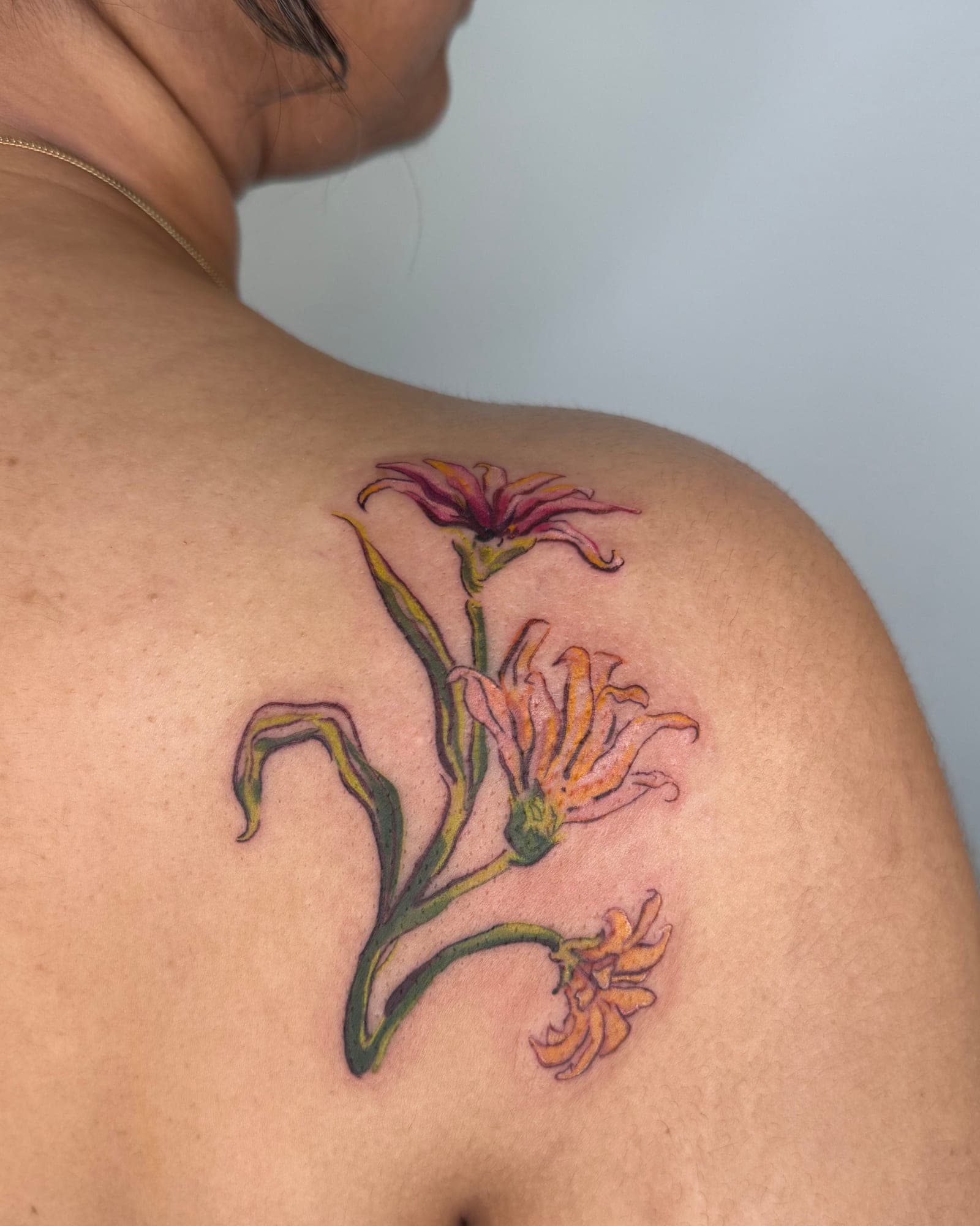 Sheli portfolio piece