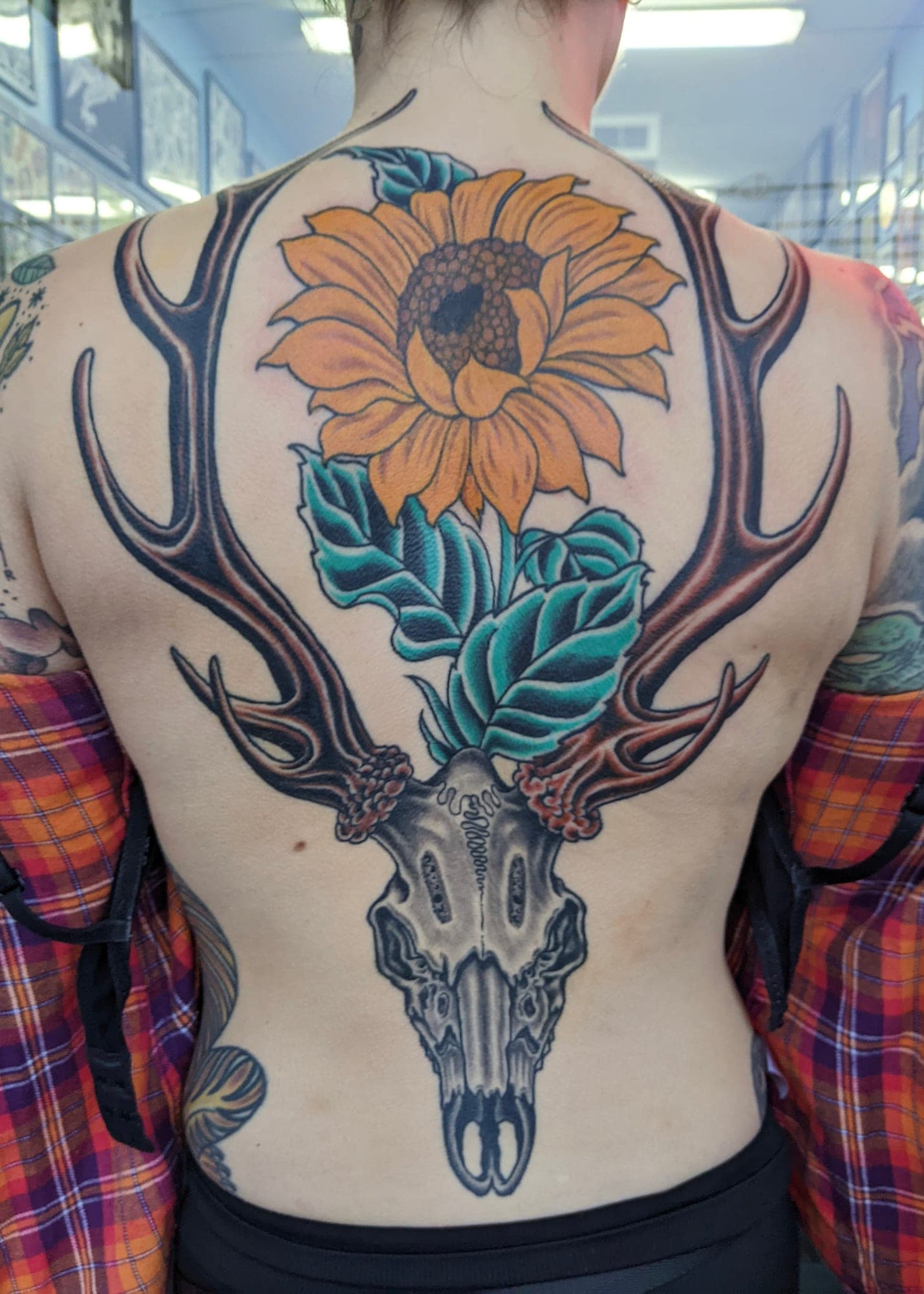 Steven Robinson portfolio piece