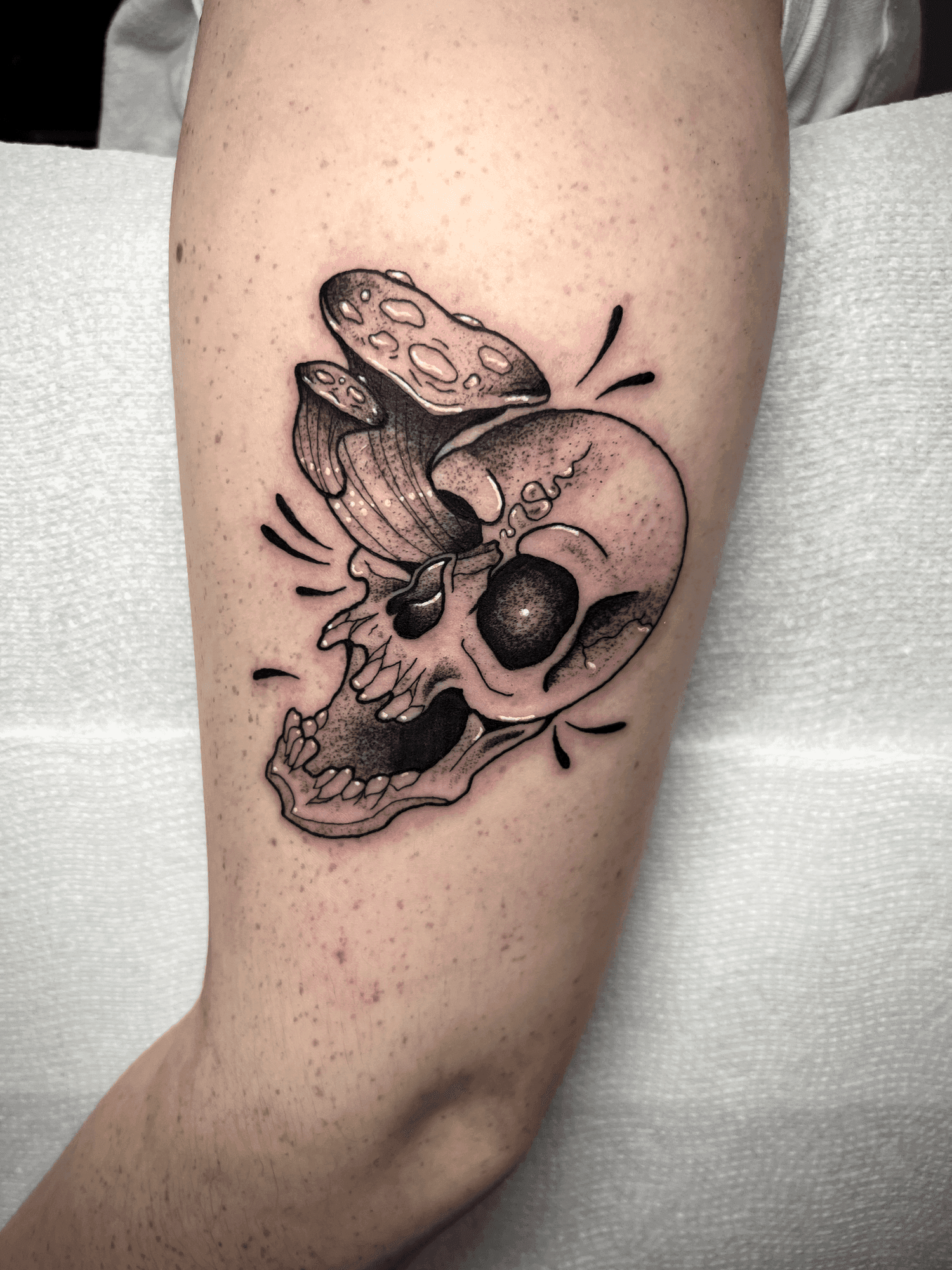 Tammy Kelley portfolio piece