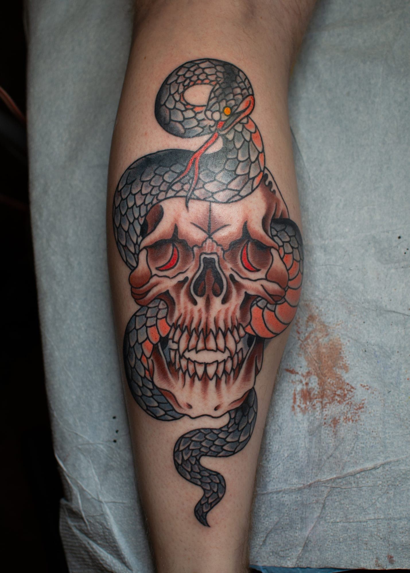 Trevor Aarsvold portfolio piece
