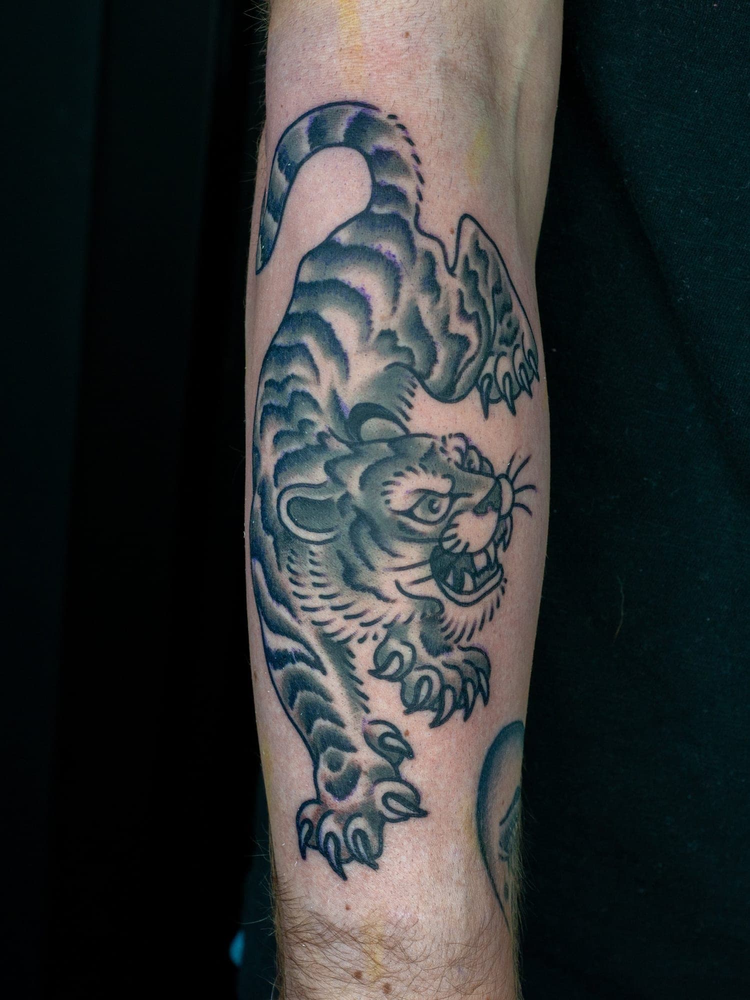 Trevor Aarsvold portfolio piece